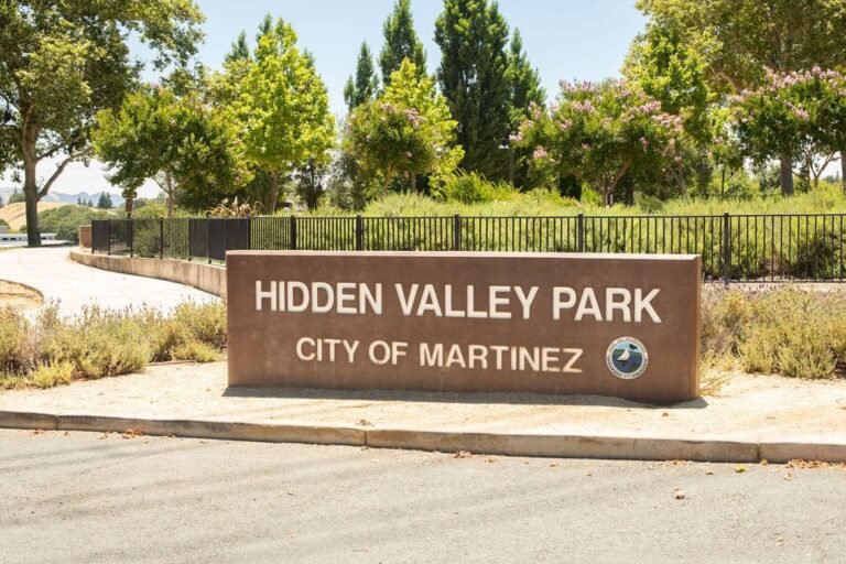 Noise Complaints Close CA Town’s New $1.5M Pickleball Courts – The Dink Pickleball