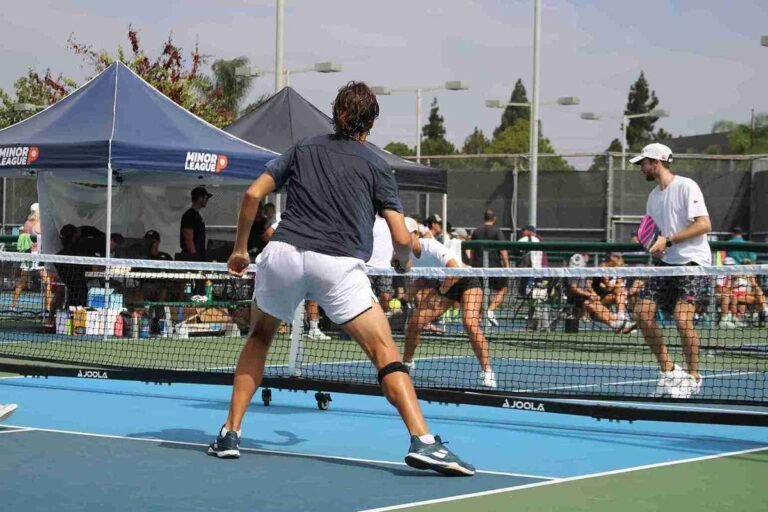 7-Strategy System – The Dink Pickleball