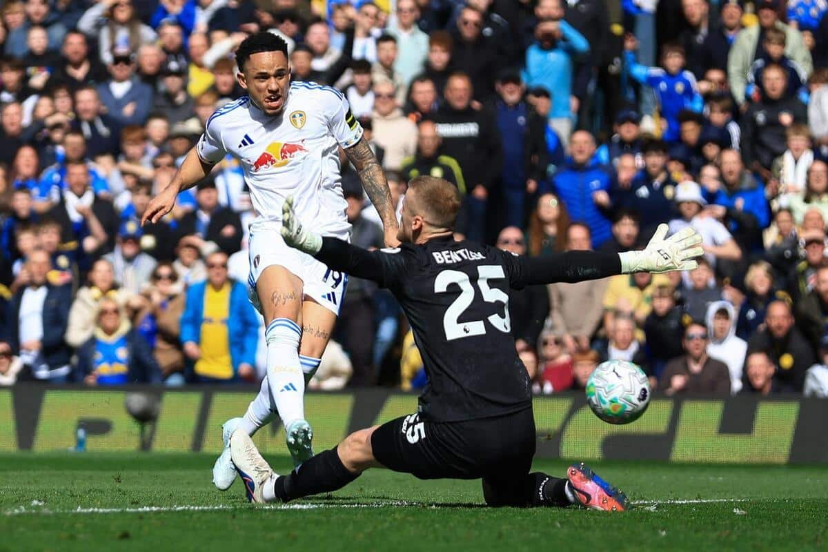 Wolves close to drop after Leeds loss as Newcastle lose again