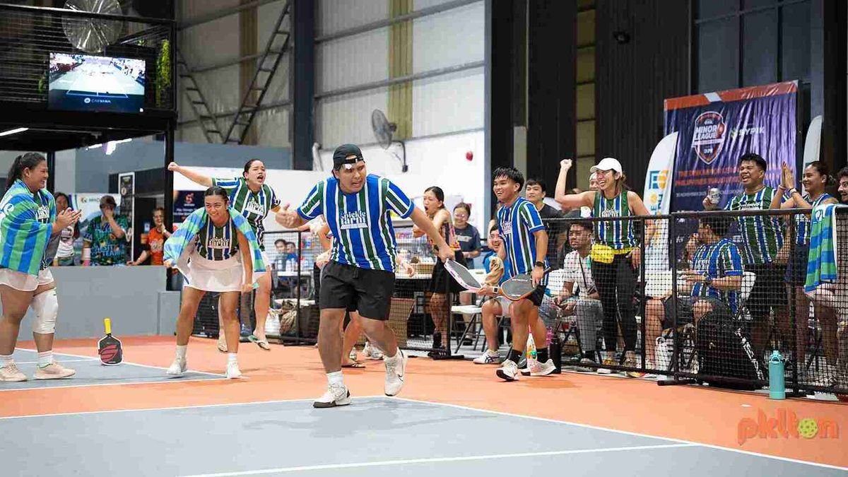 A Beginner's Guide – The Dink Pickleball
