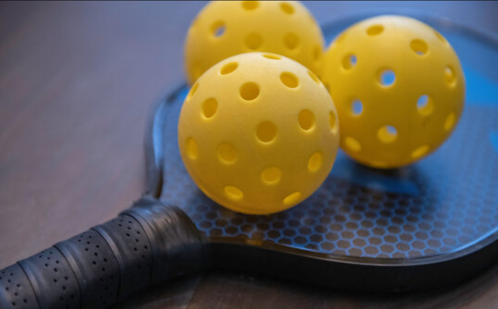 Sansan Amongst Corporations Driving Rising Pickleball Wave in Japan – Pickleball Information Asia